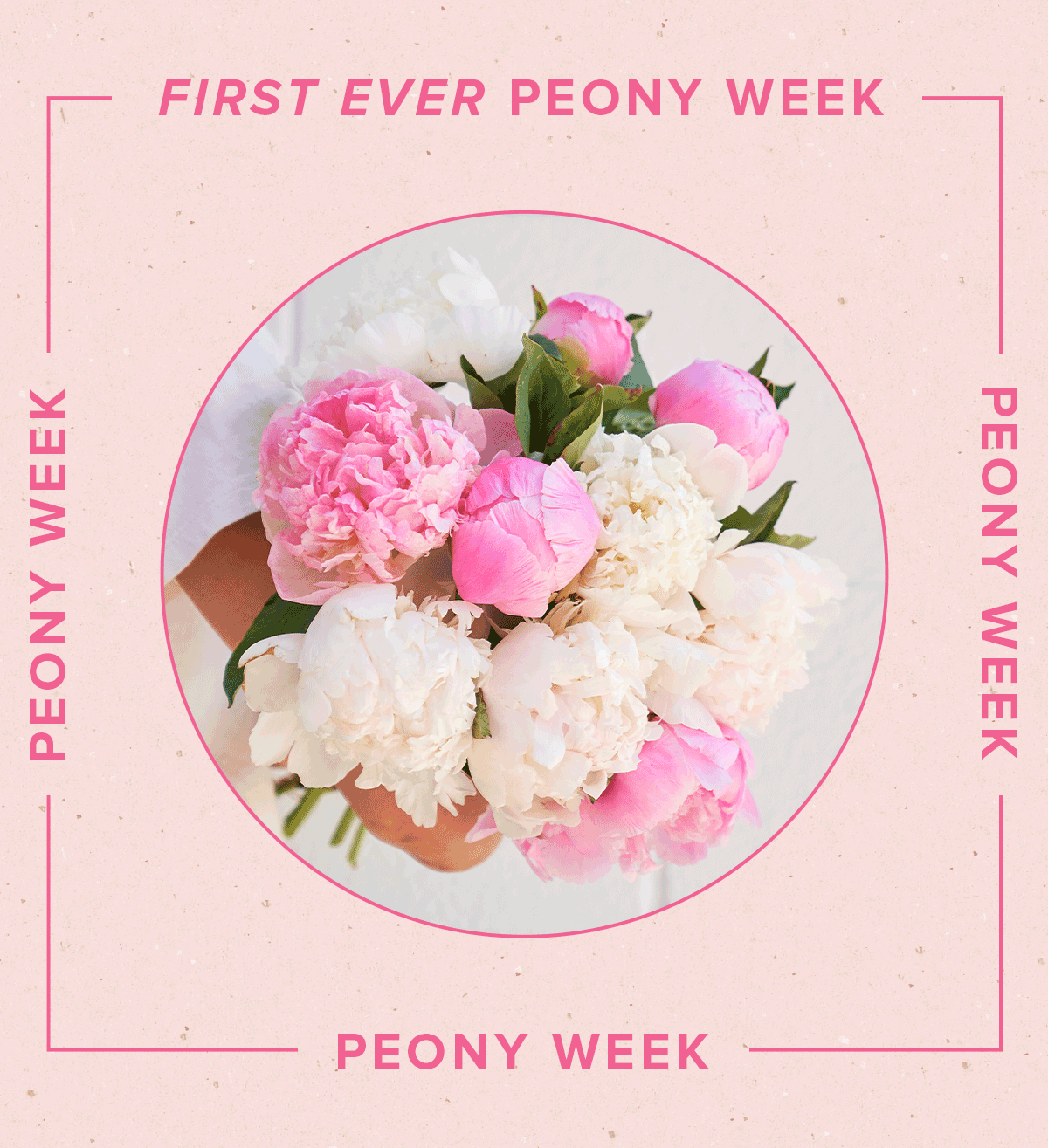 Peony Week starts NOW 🤩 The Bouqs Company